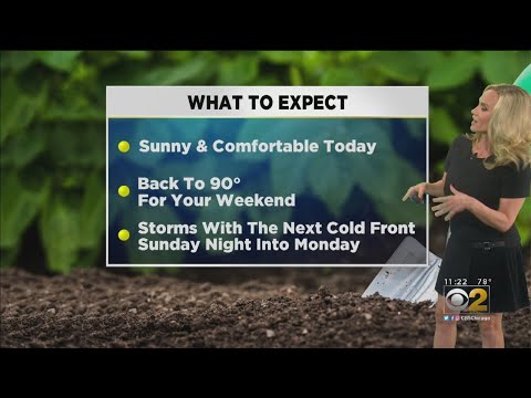 CBS 2 Weather Watch (11AM, July 25, 2019)