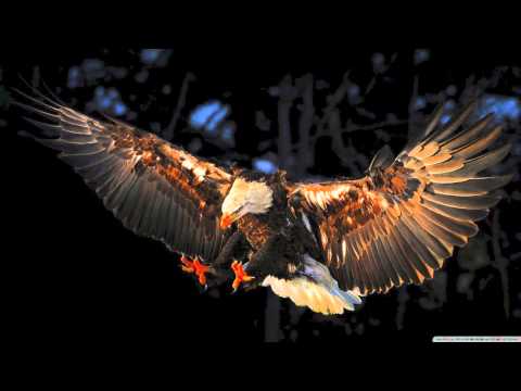 Quajen - Alas de Libertad - Free Beat Instrumental 2014 [NUEVA'MENTE]