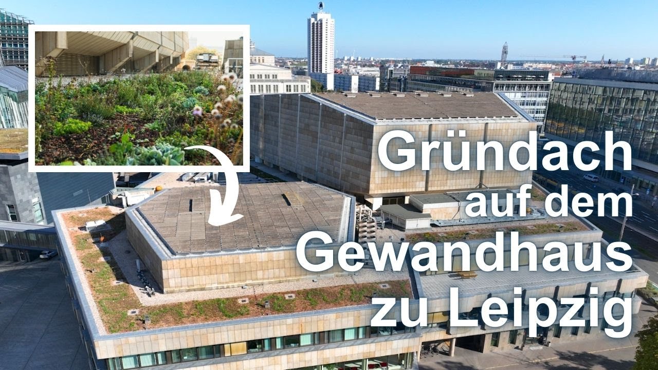 Ein Gründach entsteht auf dem Gewandhaus zu Leipzig | Slideshow