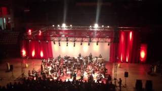 Perro en presentacion orquesta sinfonica de chile