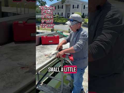 BUBBA BLADE vs DEXTER