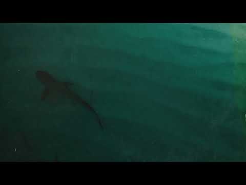 Neon Capital - 'Open Water' (Digimax Remix)