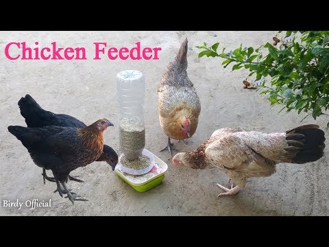 Poultry Feeder At Best Price In India