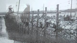 Peat Bog Soldiers - Laurie Lewis