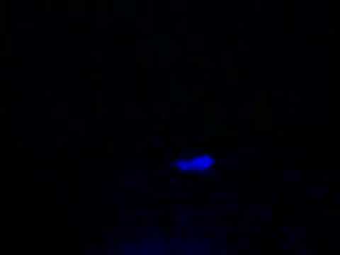 Guy walking on Sidney Myer Music Bowl summadayze 2008