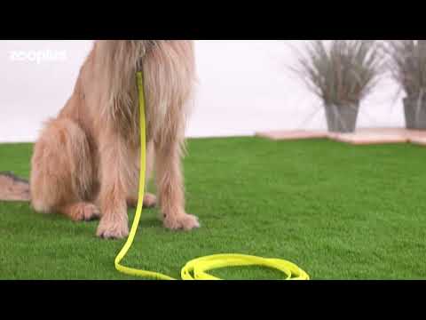 Correa de rastreo Heim BioThane® amarilla para perros