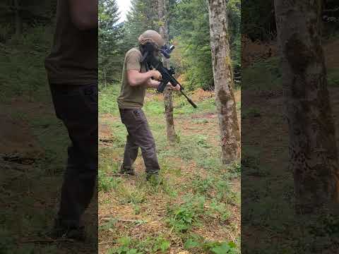 Chopping down a tree with guns