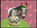 Elmo S World Birthday Quiz