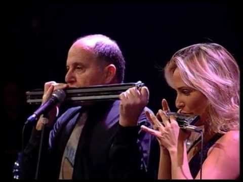 The Adler Trio - HarmoniCadence part 3 - Stormy sea