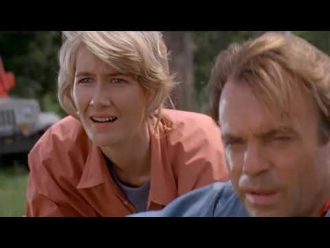 CROOK LIDL - NOW OPEN!