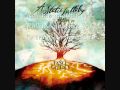 A Static Lullaby- Calmer Than You Are