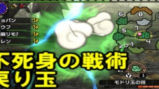 【ゆっくりモンハンXX】絶対に死なない戦法　VS青電主ライゼクス　【ベビティガ#4】