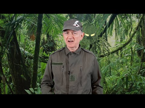 Règles importantes, conseils, configs et variante