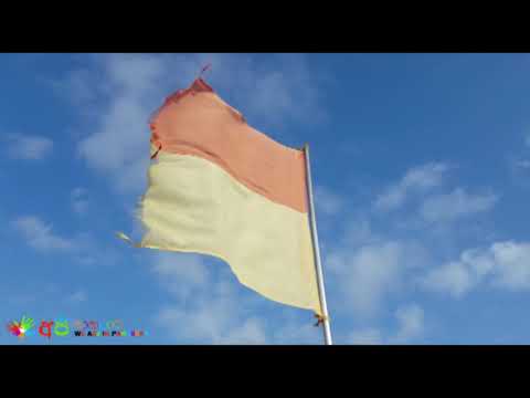 Nature of Panadura beach