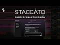 Video 1: Walkthrough