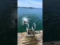 Never try to swim in a rip current.😲😱#shorts #youtubeshorts #viralshorts #facts #amazingfacts