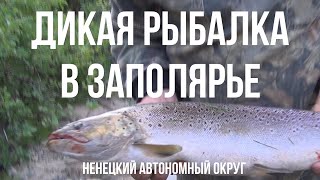 О рыбалке и охоте в ненецком округе