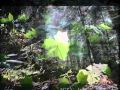 The Quiet Joys of Brotherhood   Sandy Denny   YouTube