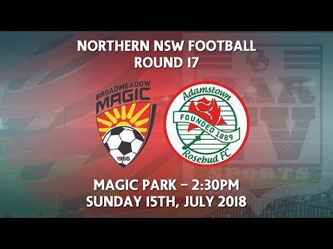 2018 NNSWF NPL Round 17 - Broadmeadow Magic FC v Adamstown Rosebud FC