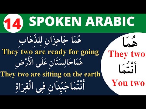 Spoken Arabic (lesson 14) How to use they two/you two in Arabic sentences. Arabic speaking.