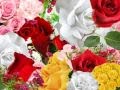 When I Fall - Anne Murray