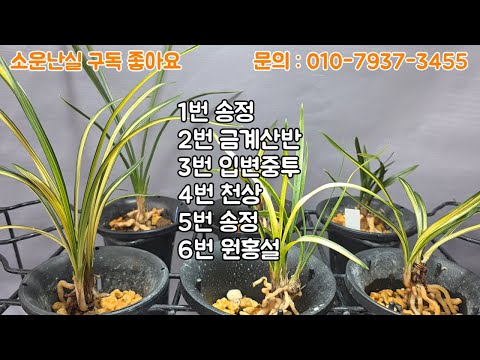 유튜브 썸네일