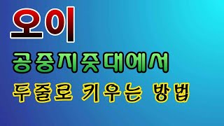[텃밭농부. 1,110]  오이 두줄로 공중재배 하는 방법. #오이재배