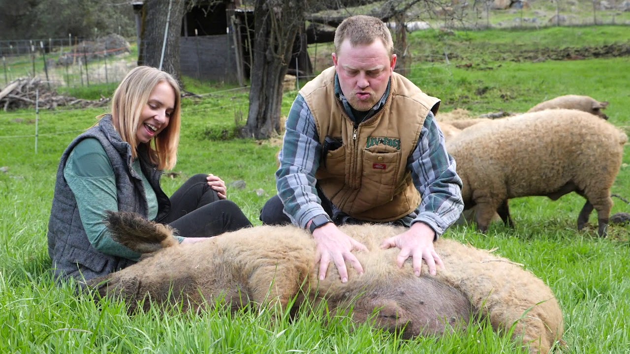 Know Your Farmer: Cosmic Roots Ranch