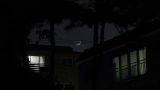 no name no 5- elliott smith (slowed + reverb)