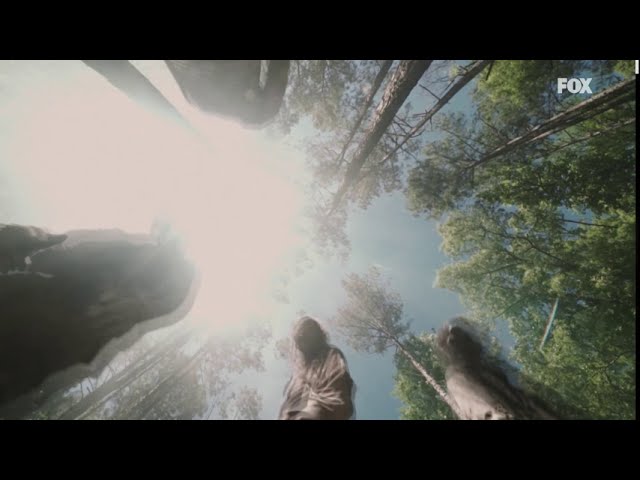 Vídeo relacionado con HWC Trading The Walking Dead Scene 2 Los Regalos Imprimieron La Imagen Firmada Del Autógrafo Para Los Fans De Los Recuerdos De La Serie De Televisión - A3 Enmarcado