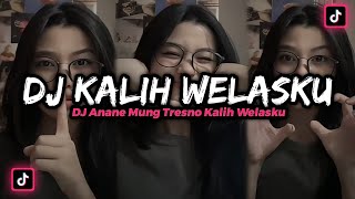 Download lagu DJ KALIH WELAS VIRAL‼️ DJ ANANE MUNG TRESNO KALIH WELASKU‼️ DJ TERBARU 2022‼️ mp3