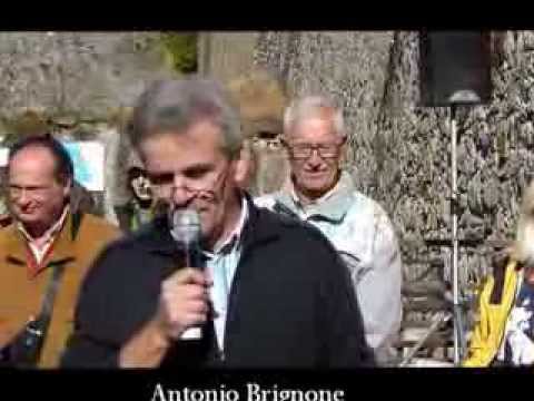 Pecora Sambucana caratteristiche