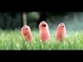 Funny Worms Toons