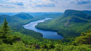 A Dance of Colors in the Sky