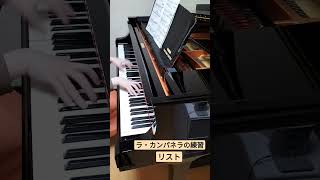 Download lagu ラ・カンパネラ/フランツ・リスト/練習記録 mp3 Download lagu ラ・カンパネラ/フランツ・リスト/練習記録 mp3