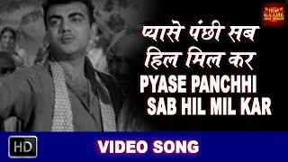 Download lagu Pyase Panchhi Sab Hil Mil Kar - Pyase Panchhi - Lata Mangeshkar - Ameeta, Mehmood - Video Song mp3 Download lagu Pyase Panchhi Sab Hil Mil Kar - Pyase Panchhi - Lata Mangeshkar - Ameeta, Mehmood - Video Song mp3