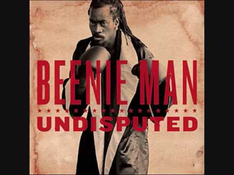 Dutty Wine Gal (ft. Brooke Valentine) lyrics