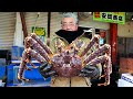 Japanese Street Food - GIANT ALASKAN KING CRAB Sashimi Hakodate Hokkaido Seafood Japan