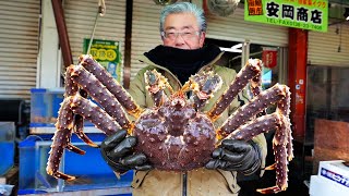 Download lagu Japanese Street Food - GIANT ALASKAN KING CRAB Sashimi Hakodate Hokkaido Seafood Japan mp3
