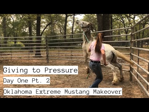 Giving to Pressure w/a Wild Mustang | Day One Pt.2
