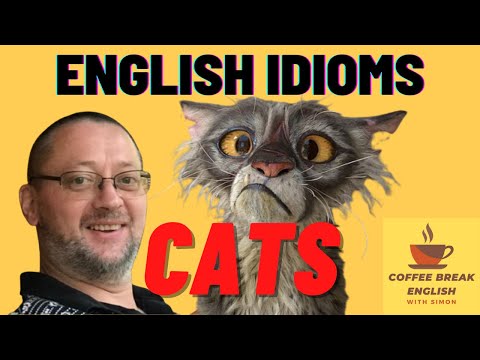 English Idioms-Cats