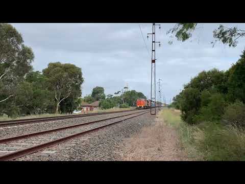 7922V CLF4 C501 CLF2 Spotswood Monday 22nd Feb
