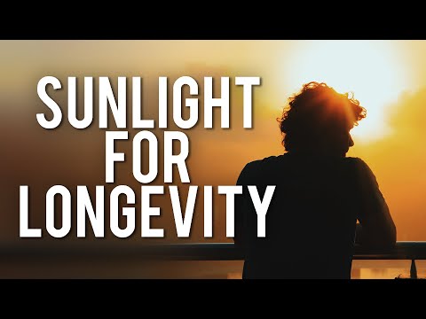 How To Use Light To Optimise Your Health & Happiness | Matt Maruca | Modern Wisdom Podcast 203