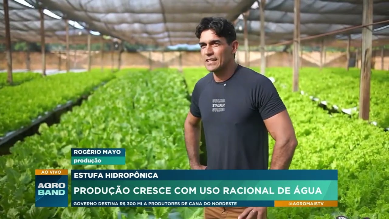 Hidroponia impulsiona produção de hortaliças em Roraima