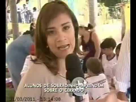 Reportagem SBT – projeto de educação ambiental na Escola Rua do Mato (DF)