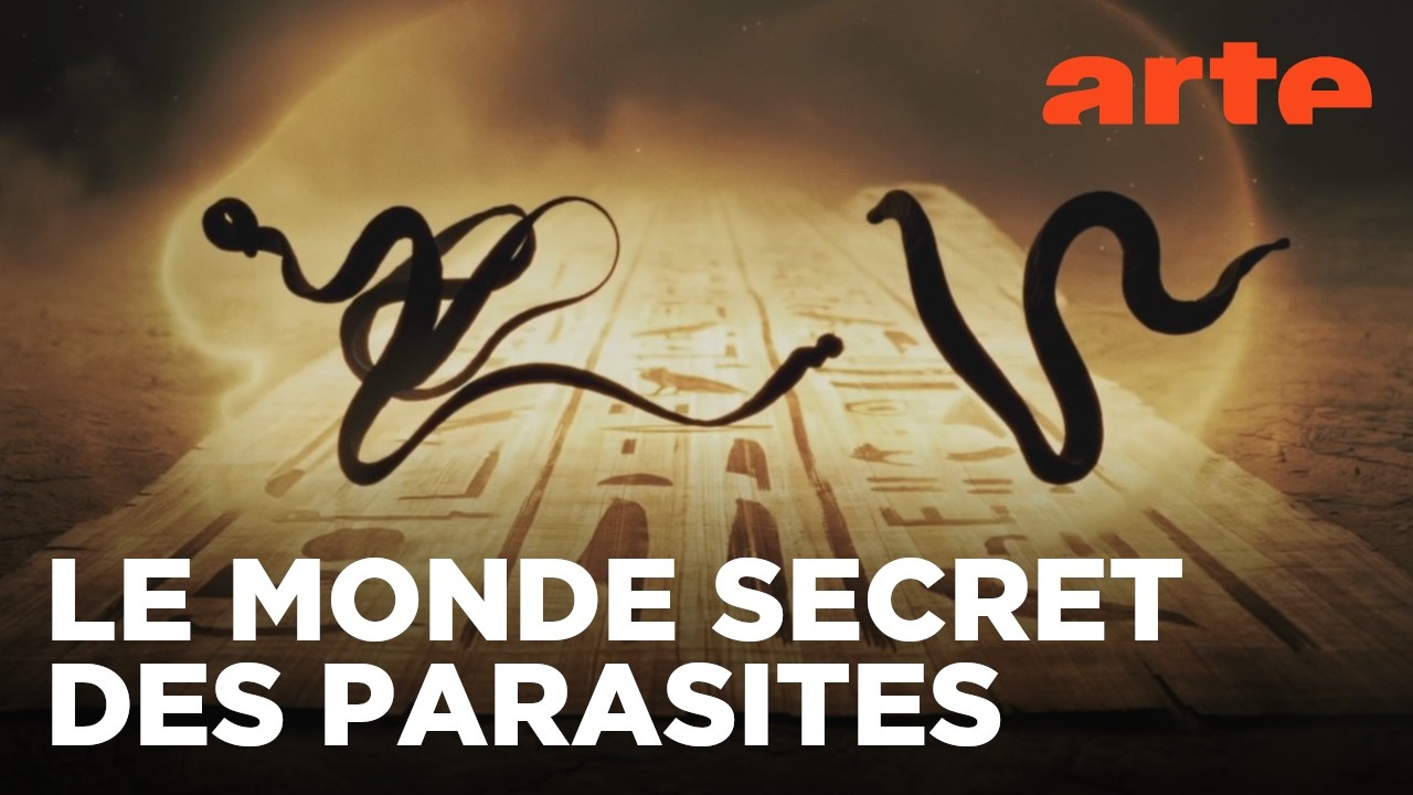 La galaxie des parasites | Déclics | ARTE