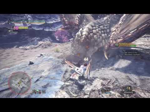 Monster Hunter: World Porn - Bazelgeuse Gets Face F'd