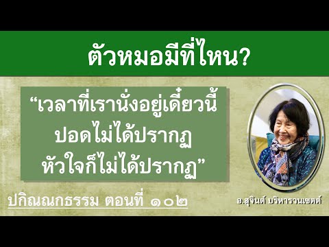 คลิกเพื่อดูคลิปวิดีโอ