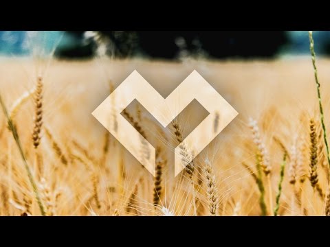 download lagu mp3 mp4 Echos Gold Lyrics, download lagu Echos Gold Lyrics gratis, unduh video klip Echos Gold Lyrics
