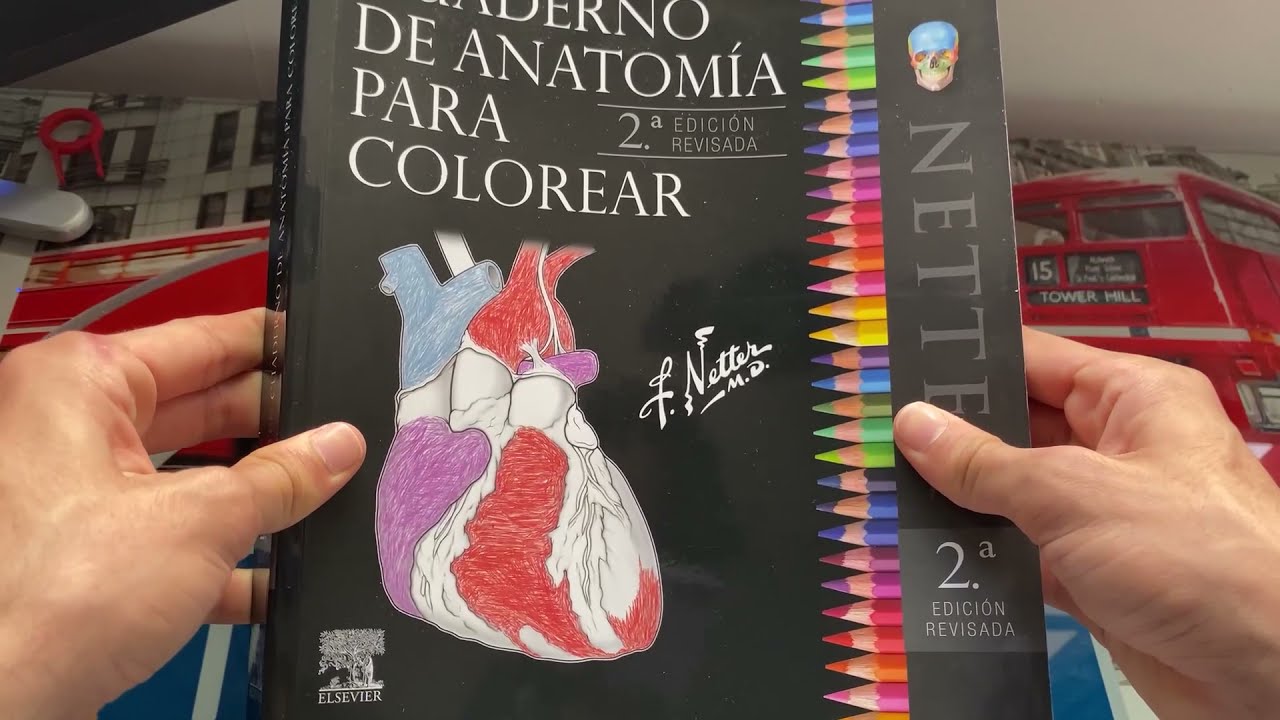 Cuaderno de anatomía para colorear NETTER - Review